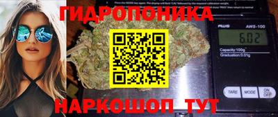 jwh Канаш