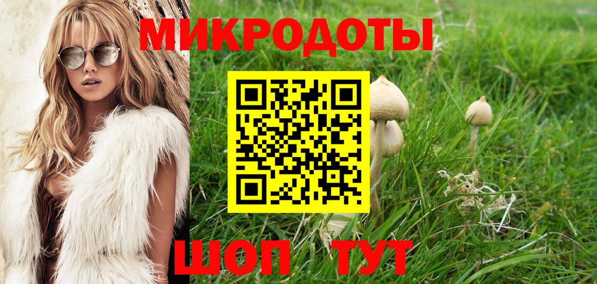 Галлюциногенные грибы мицелий Кувандык