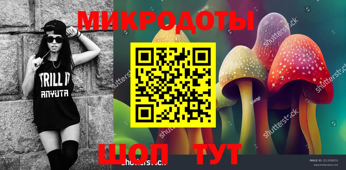 Псилоцибиновые грибы мицелий  Вход с VPN  Кувандык  Псилоцибиновые грибы прущие грибы 