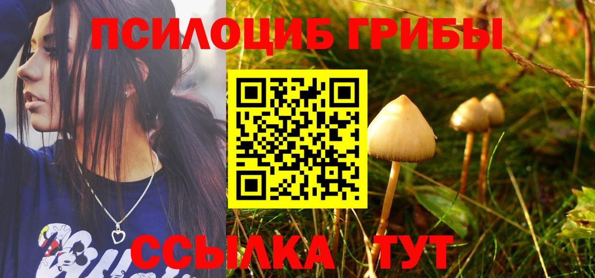 Галлюциногенные грибы мухоморы Кувандык