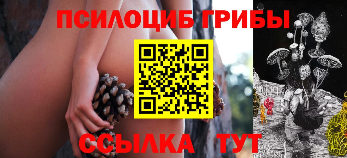 Галлюциногенные грибы Cubensis  Псилоцибиновые грибы мухоморы  Кувандык 