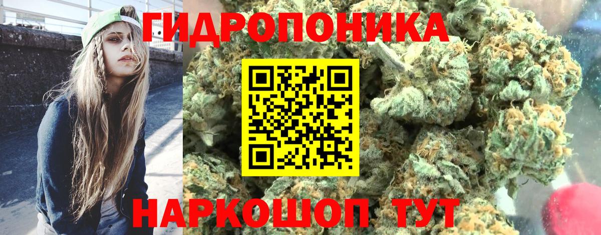 МАРИХУАНА Bruce Banner  Каннабис гибрид  МАРИХУАНА VHQ  Шишки марихуана White Widow  Кувандык 